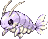your reef companion